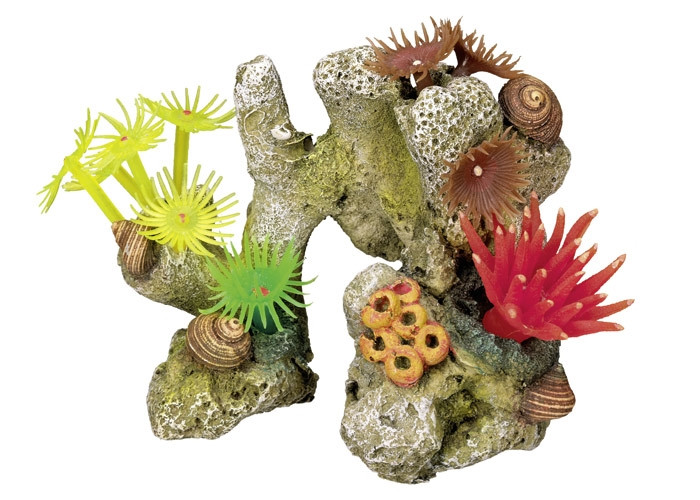 Aqua Ornaments "CORAL STONE" - met planten