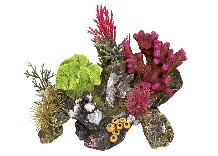 Aqua ornamenten "CORAL STONE" - met planten L17 x B12,5 x H12 cm 