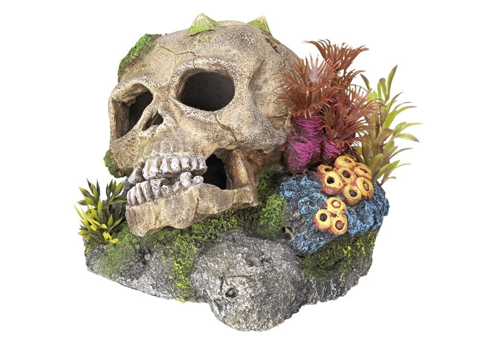Aqua Ornaments "SCULL" - met planten