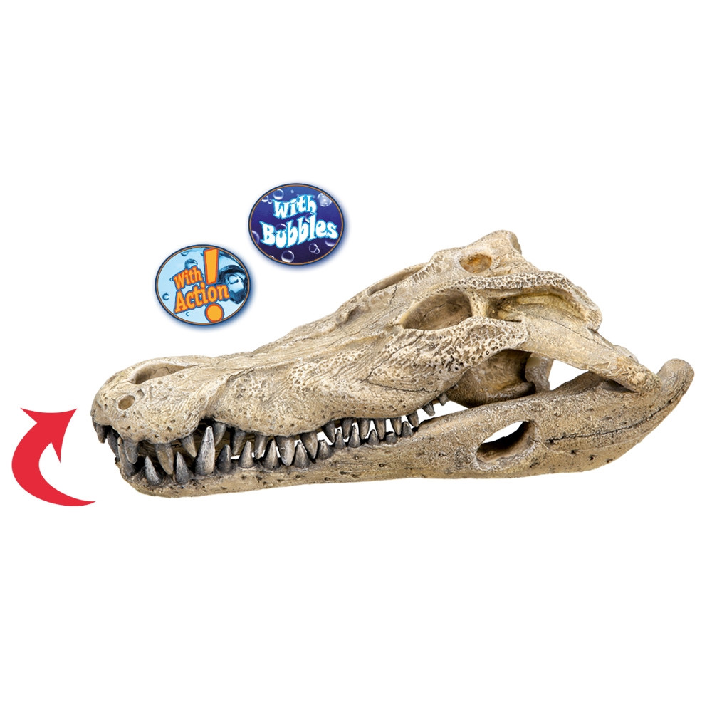 Aqua Ornamenten "KROKODILLENSCULL"