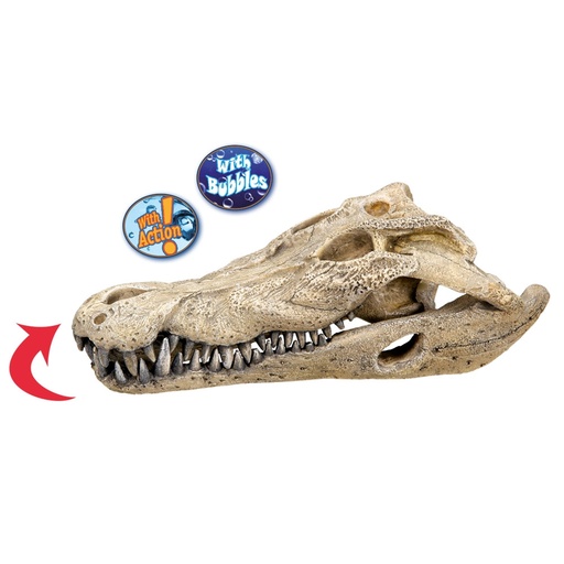 [NB28107] Aqua Ornamenten "KROKODILLENSCULL" L26 x B14 x H9 cm 