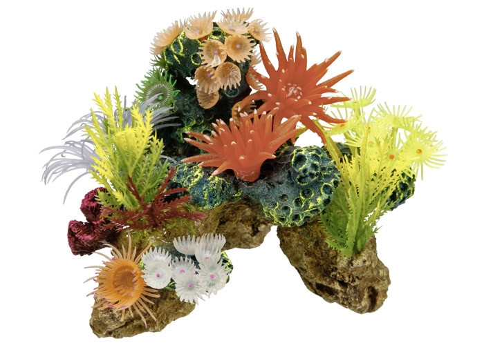 Aqua Ornamenten "CORAL STONE" met planten L19 x B15 x H15 cm 