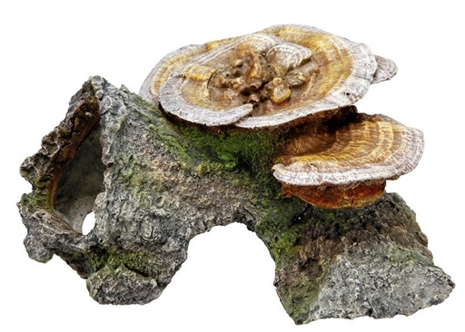 [NB28274] Aqua Ornamenten "HOUTEN GROT MET PADDESTOELEN"