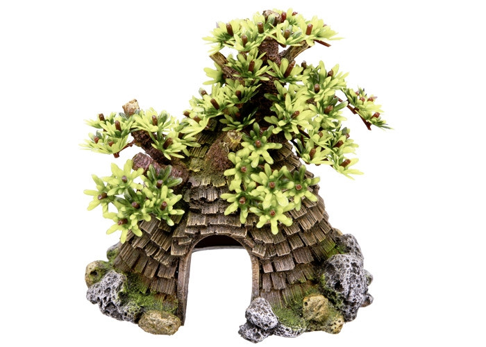 Aqua Ornamenten "VERBLIJF MET BOOM"