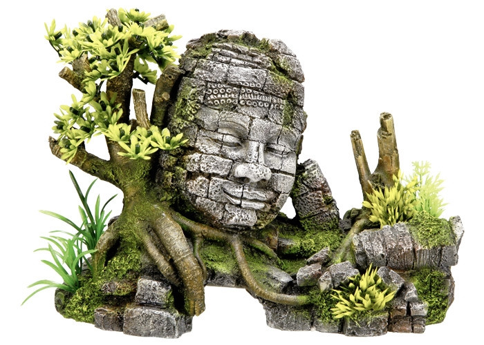Aquaornamenten "ANGKOR WATT" met planten