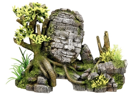 [NB28283] Aquaornamenten "ANGKOR WATT" met planten