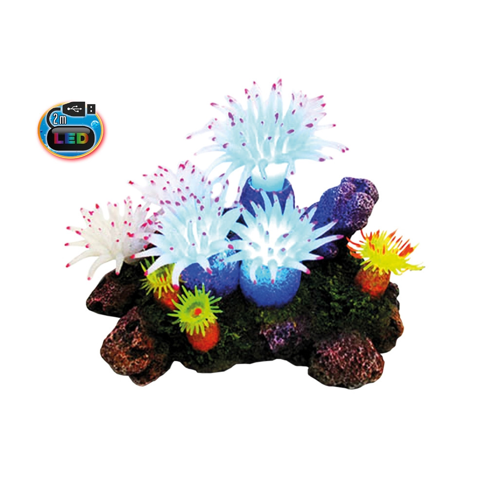 Aquaornamenten "APLYSINA" met planten, met LED