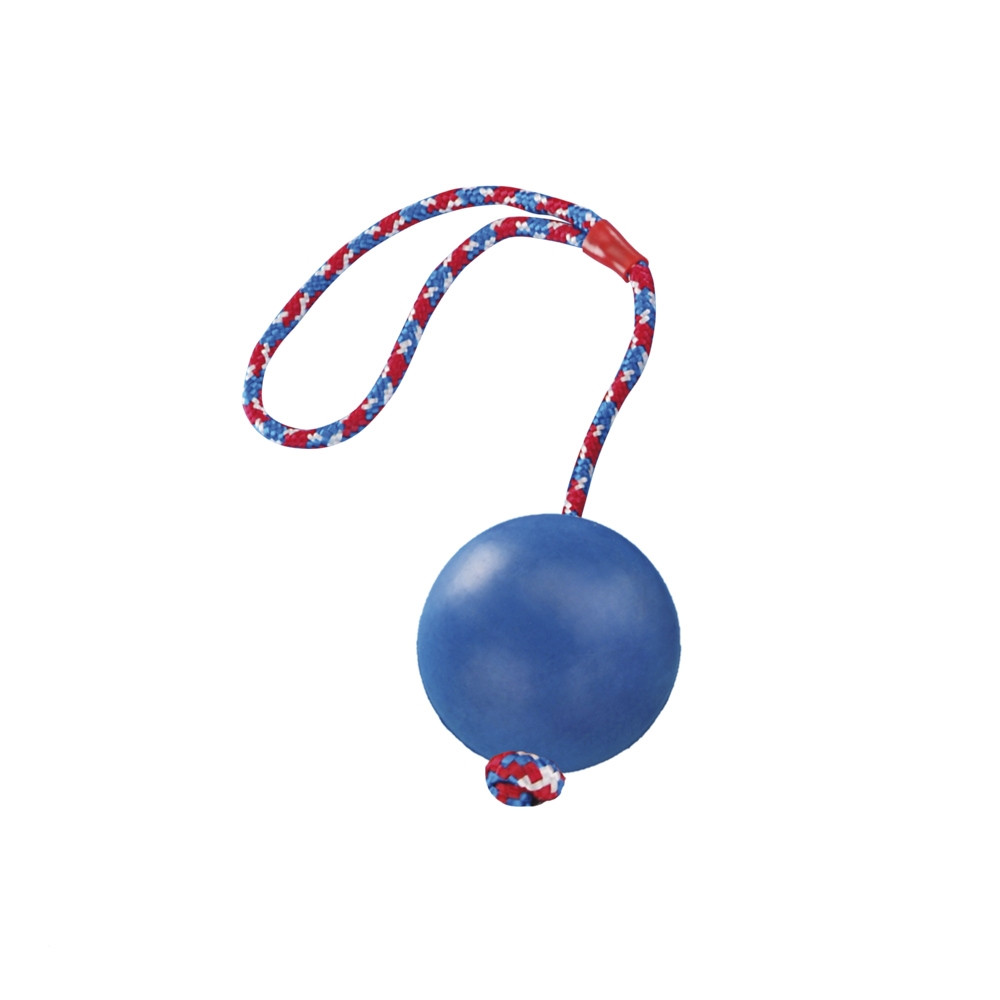 Rubberen bal met touw