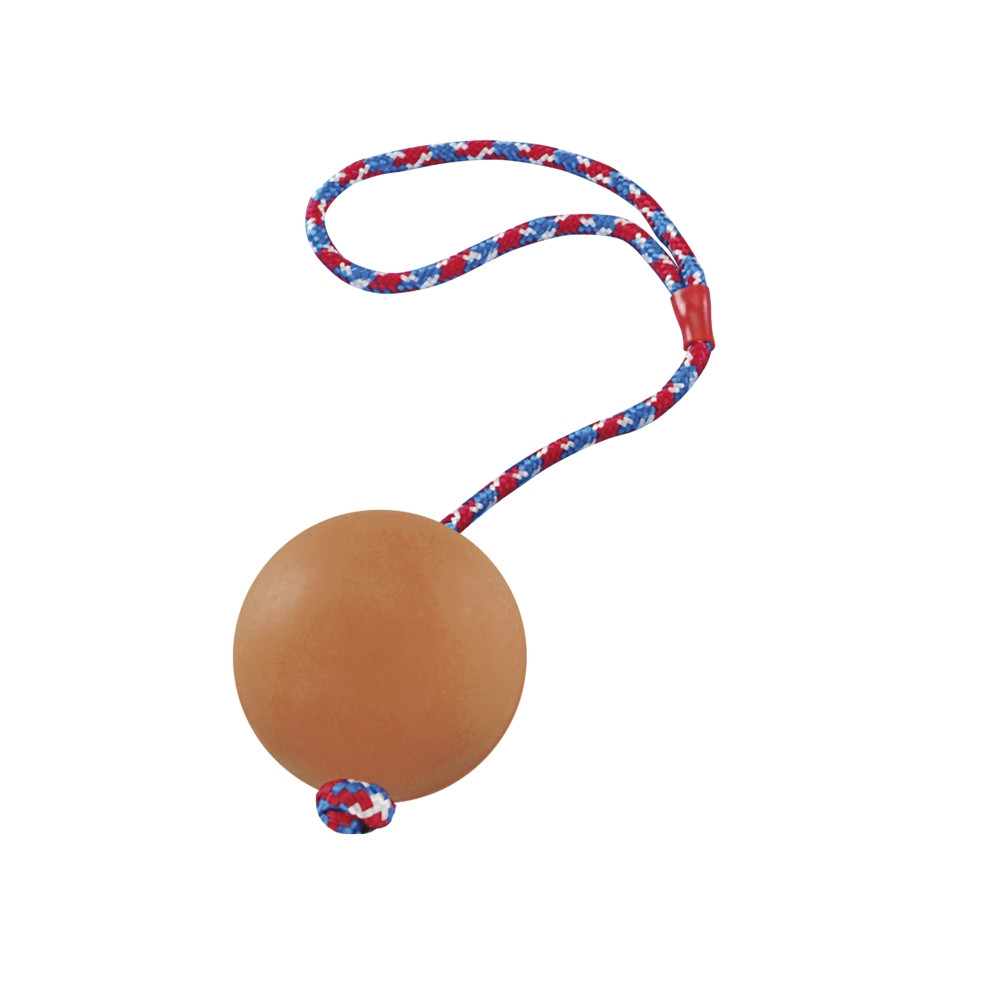 Rubberen bal met touw