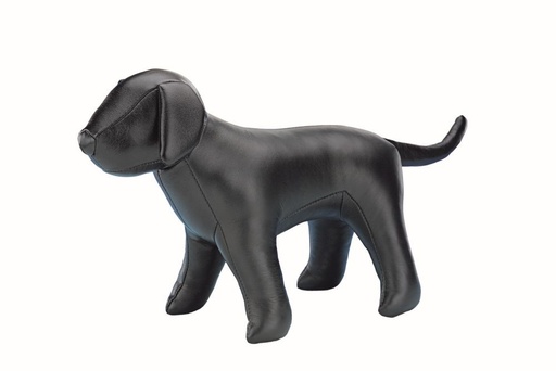 [NB70221] Hond voor presentatie