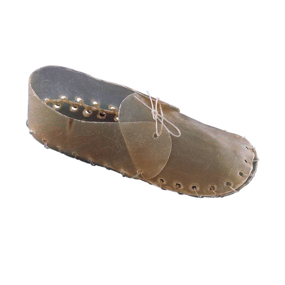 Schoenen kauwen