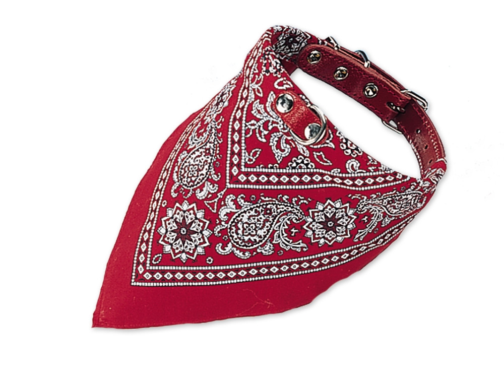 Kraag met halsdoek