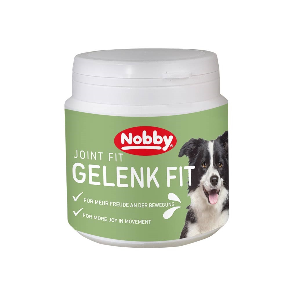 Gezamenlijke fitte hond