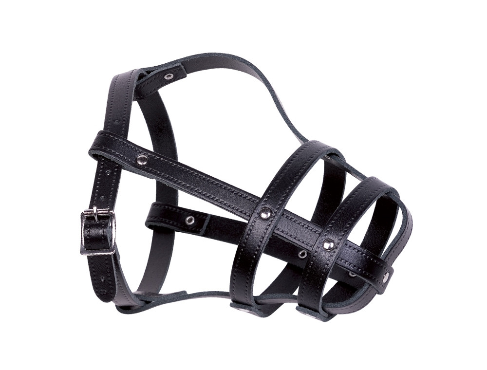 Leren snuit maat 8; 37/48 cm zwart