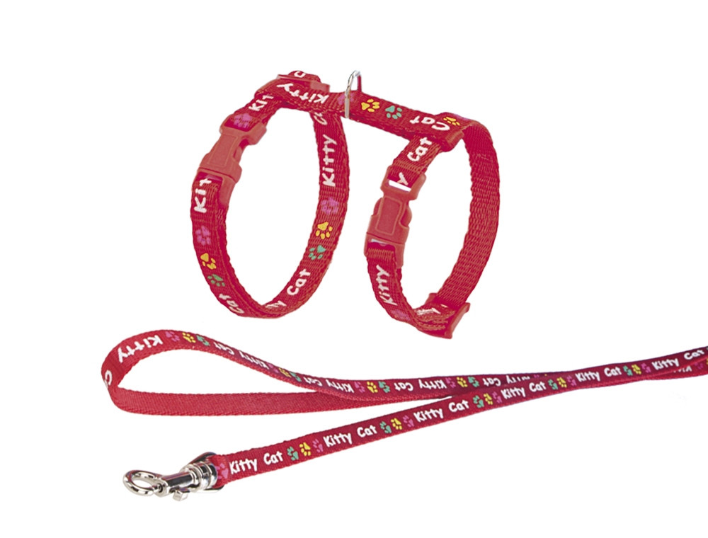 Set "Kat Kat" Riem: w: 8 mm, 120 cm; harnas: nek: 15-22 cm; borst: 20-32 cm rood