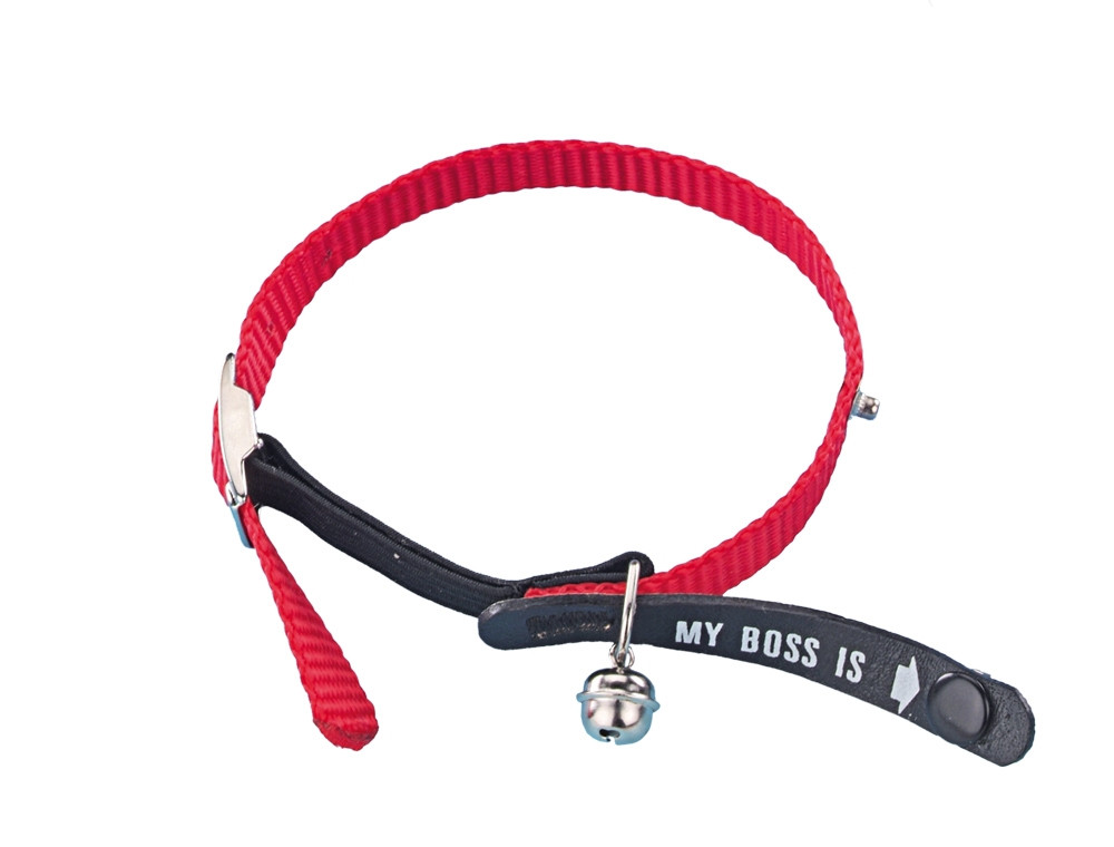 Adres Kattenhalsband "Mijn baas is"  rood