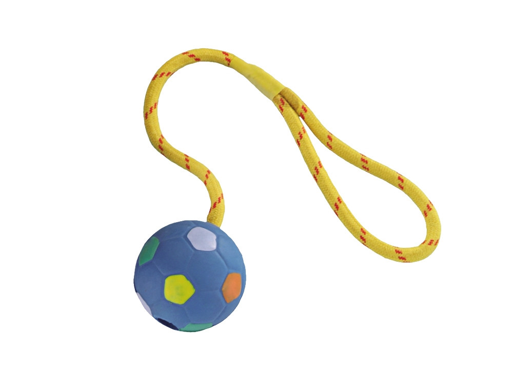 Rubberen bal met touw