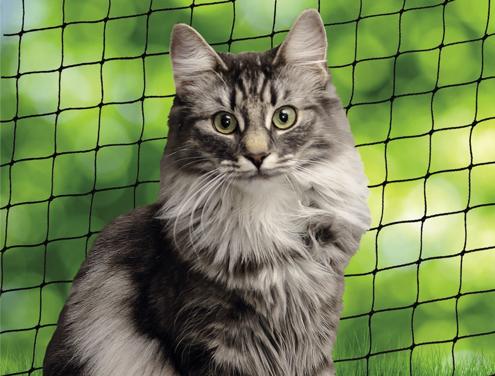 Katten veiligheidsnet
