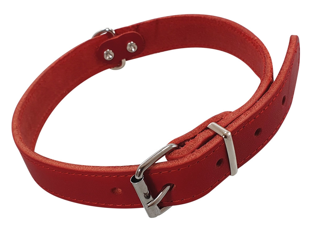 Kraag "TABIL" 60 cm (46-56 cm), 25 mm rood