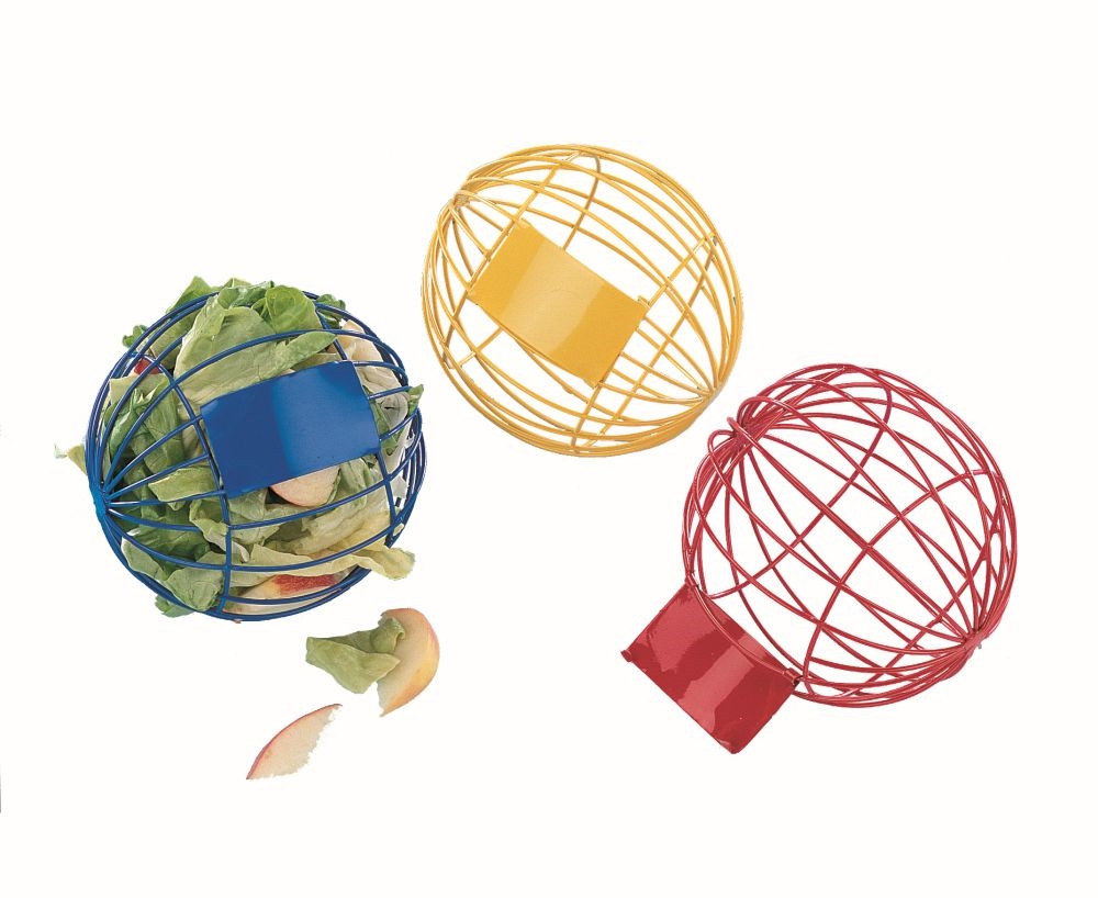 Speel en eet een bal