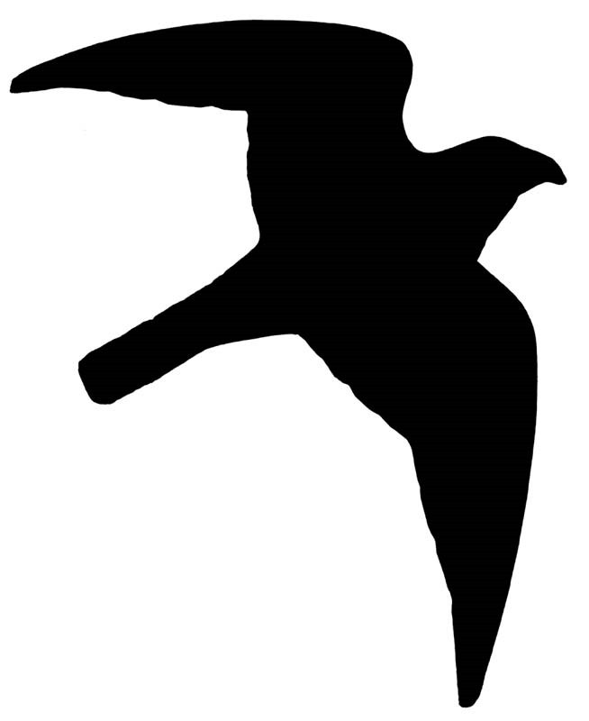 Sticker "roofvogel" 120 x 170 mm; 10 stuks 